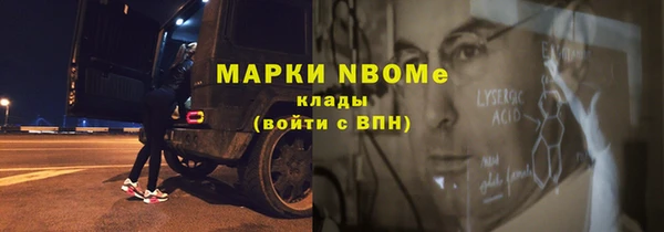 индика Алзамай