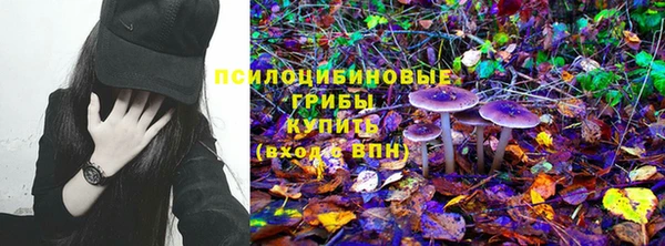амф Гусев