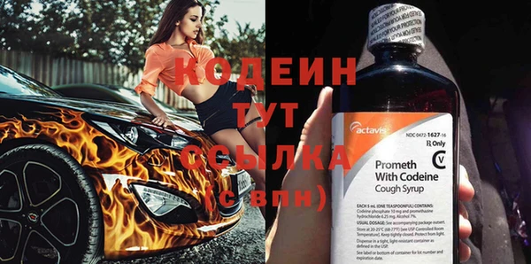 стаф Абаза