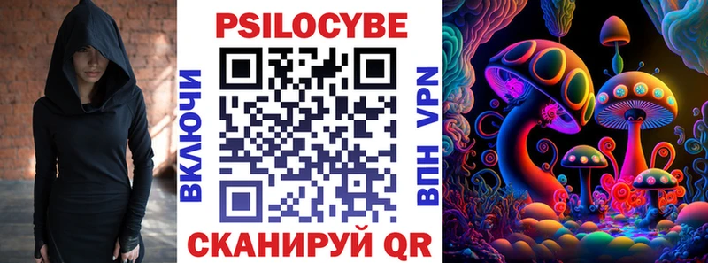 Псилоцибиновые грибы мицелий  где продают наркотики  Болотное 