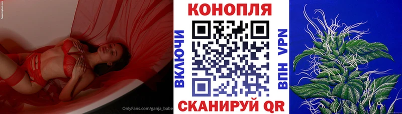 Конопля MAZAR  дарнет шоп  Болотное 